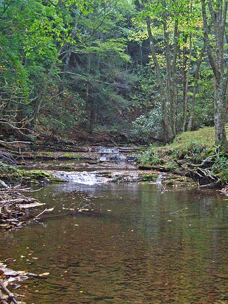 Seneca Creek